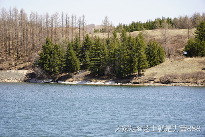 都是坐副驾没停车抓拍的 凑合看看哈哈_旅游内蒙古