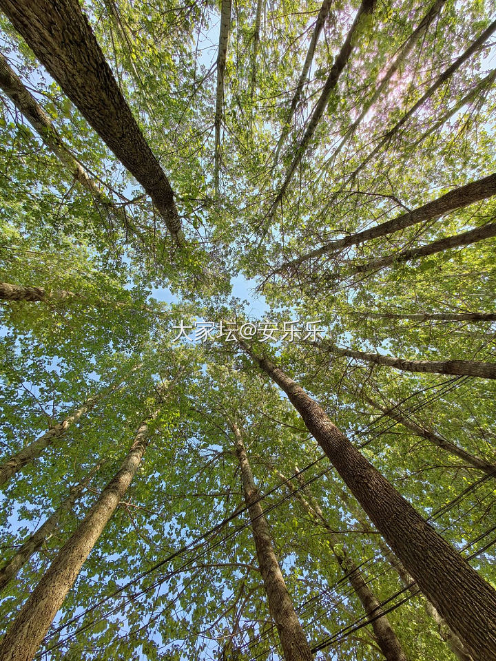 百里画廊_景色