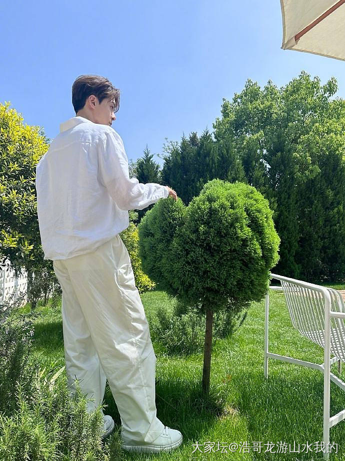 这料子成为压死骆驼的最后一根稻草_翡翠