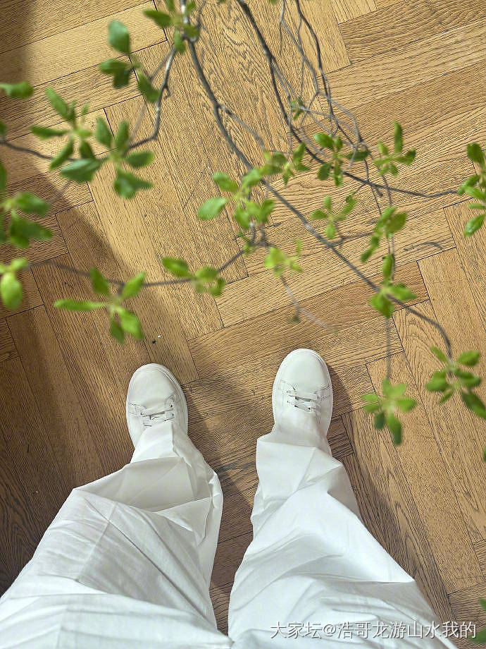 这料子成为压死骆驼的最后一根稻草_翡翠