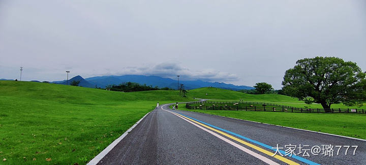 我听见雨滴落在青青草地_景色