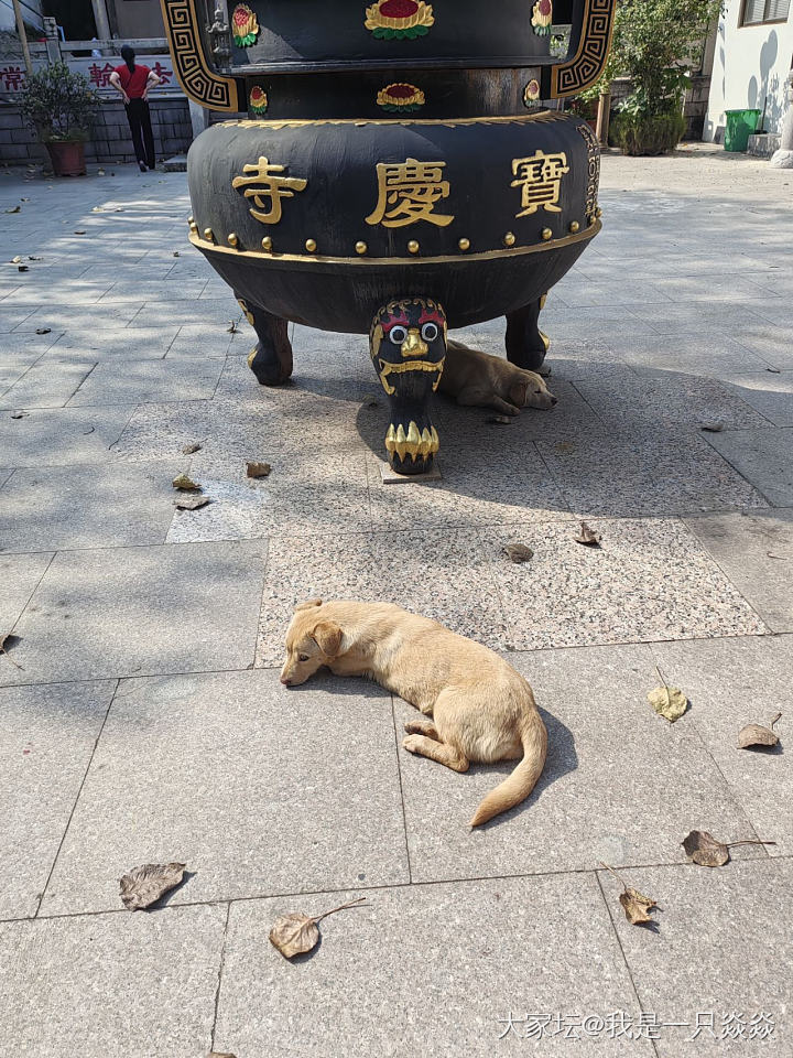 五一周边游，春光正好，微风不燥_旅游