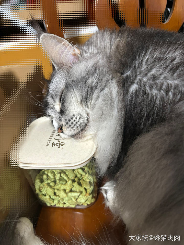 有见过这么护食的吗？_猫