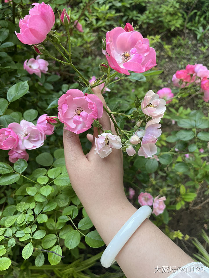 踏青时节赏花赏美镯_手镯和田玉