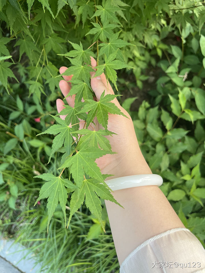 踏青时节赏花赏美镯_手镯和田玉