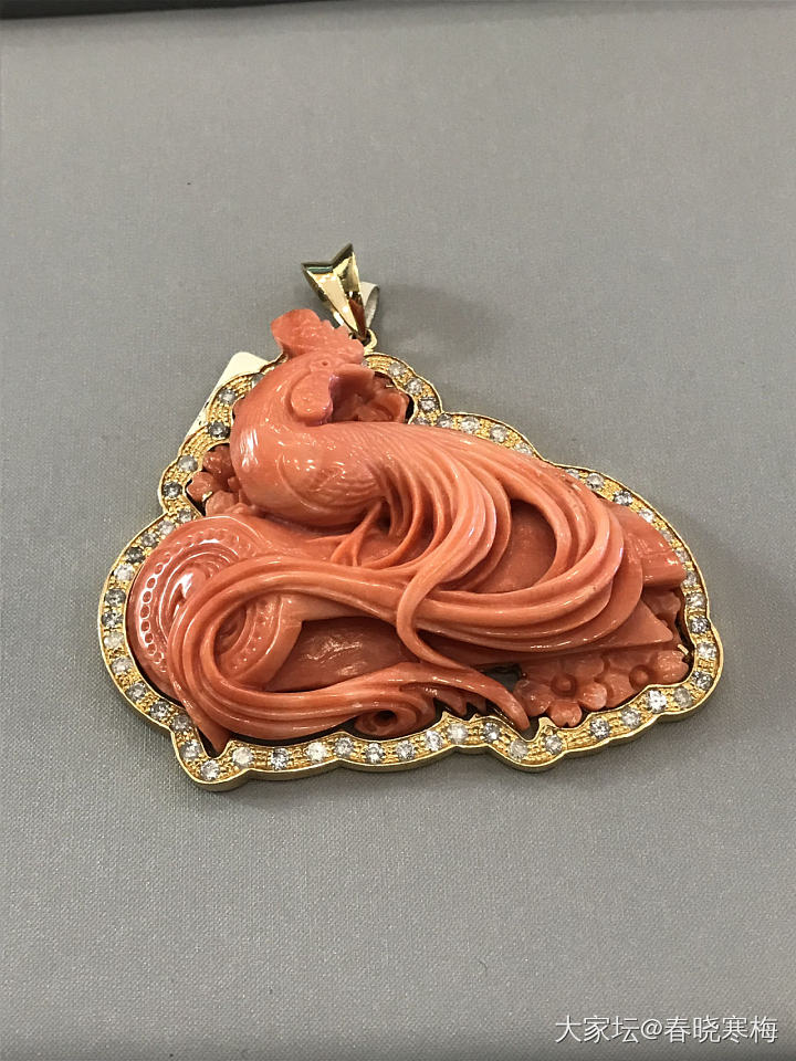王同学_珊瑚
