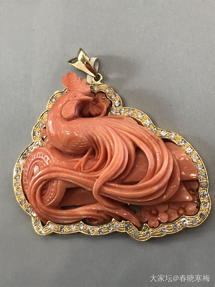 王同学_珊瑚