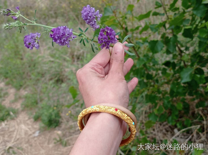 爱一的手镯，好像叫啥忘记了_手镯金