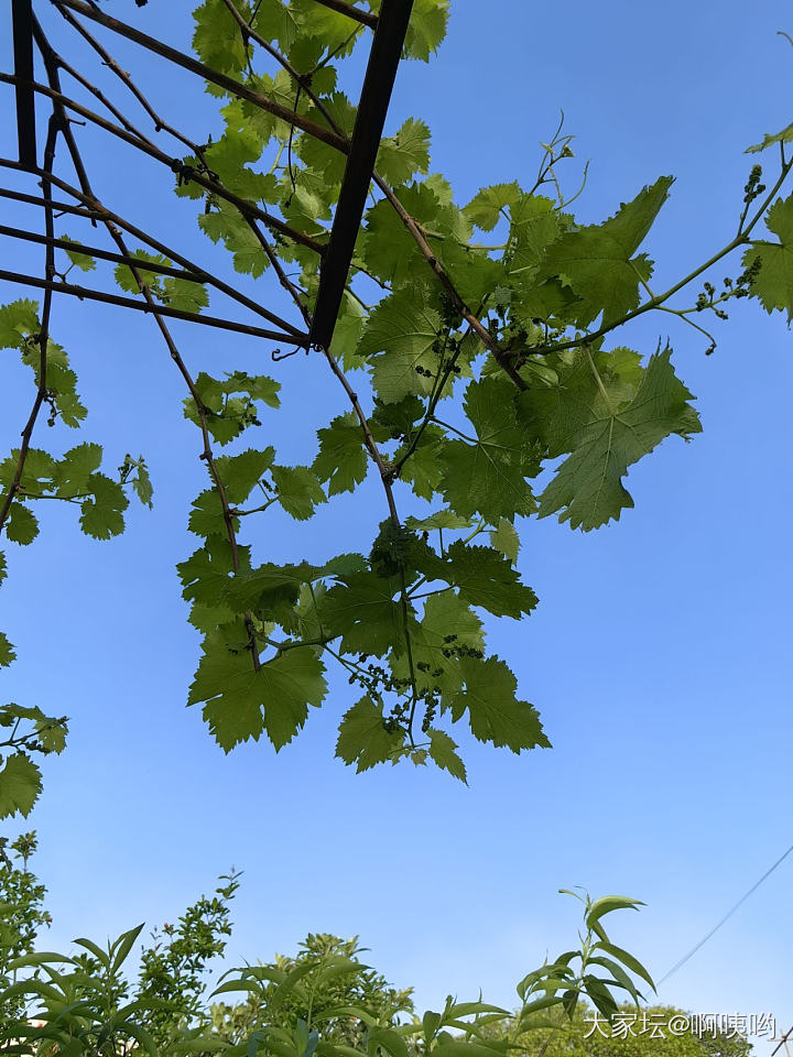 有走过川藏线的姐妹么_旅游