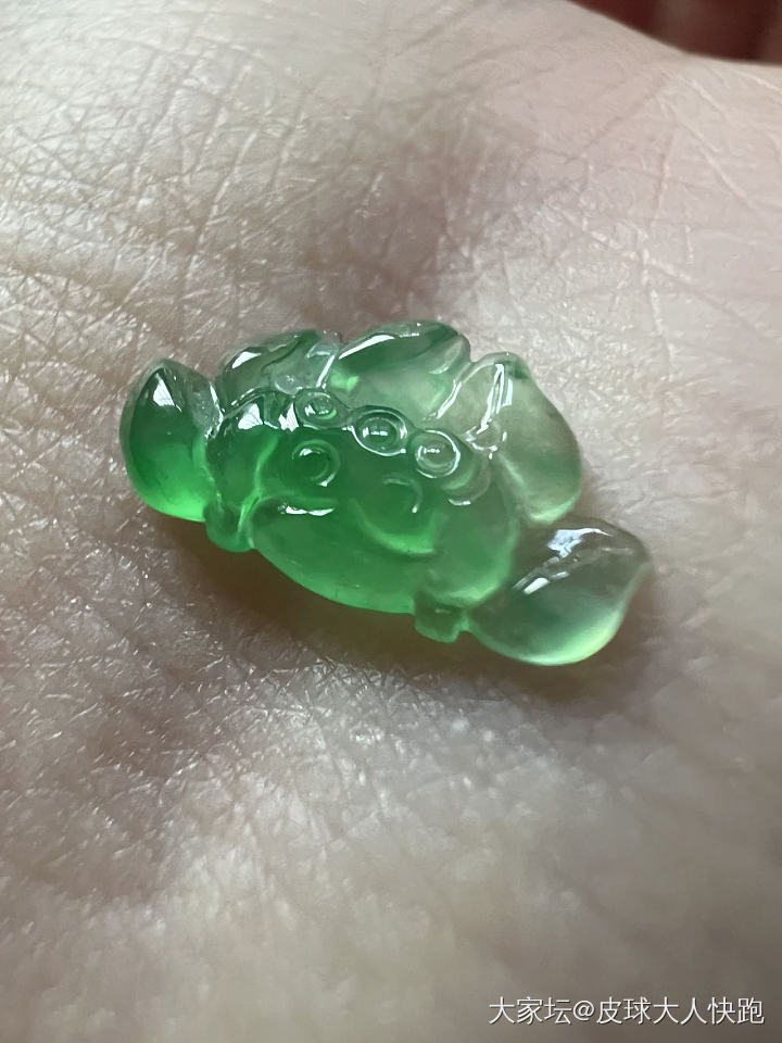 这两个做啥好看🫣_翡翠