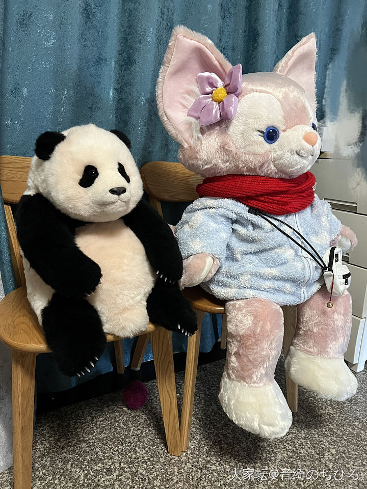 盼了一年的熊猫工厂出的福宝到家了🌝_闲聊