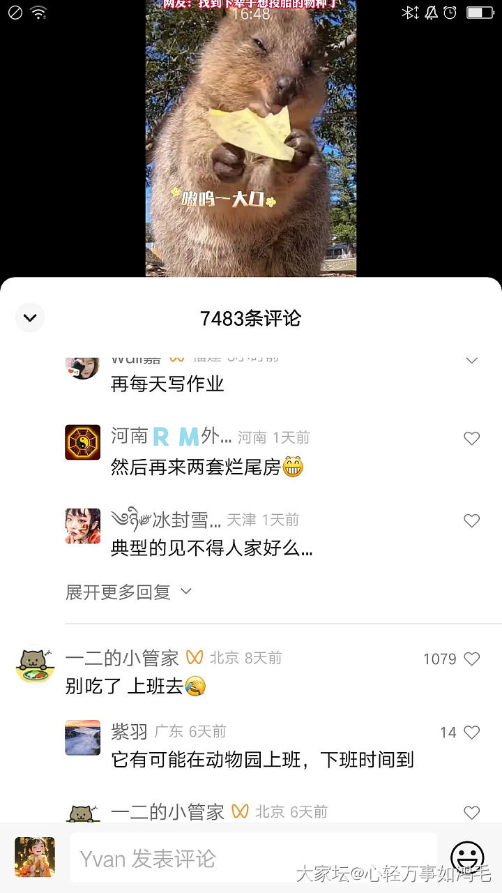 爱看小动物的视频_闲聊