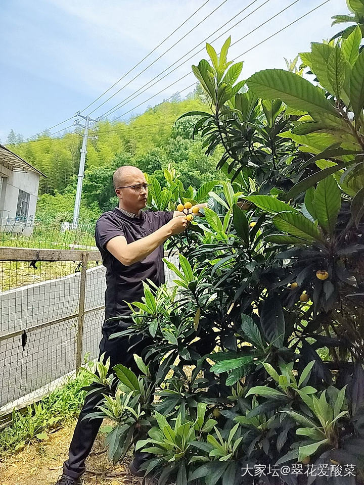 搬回农村之后的生活！
冬天娃在门口放烟花，春天带着娃去山上挖笋村庄里踏春，周末摘..._生活