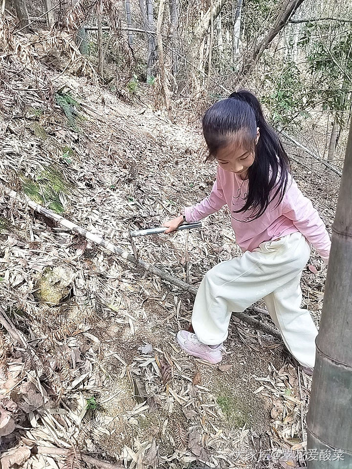 搬回农村之后的生活！
冬天娃在门口放烟花，春天带着娃去山上挖笋村庄里踏春，周末摘..._生活