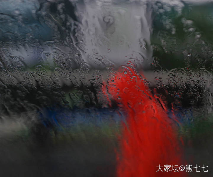 窗外，雨中印象_摄影