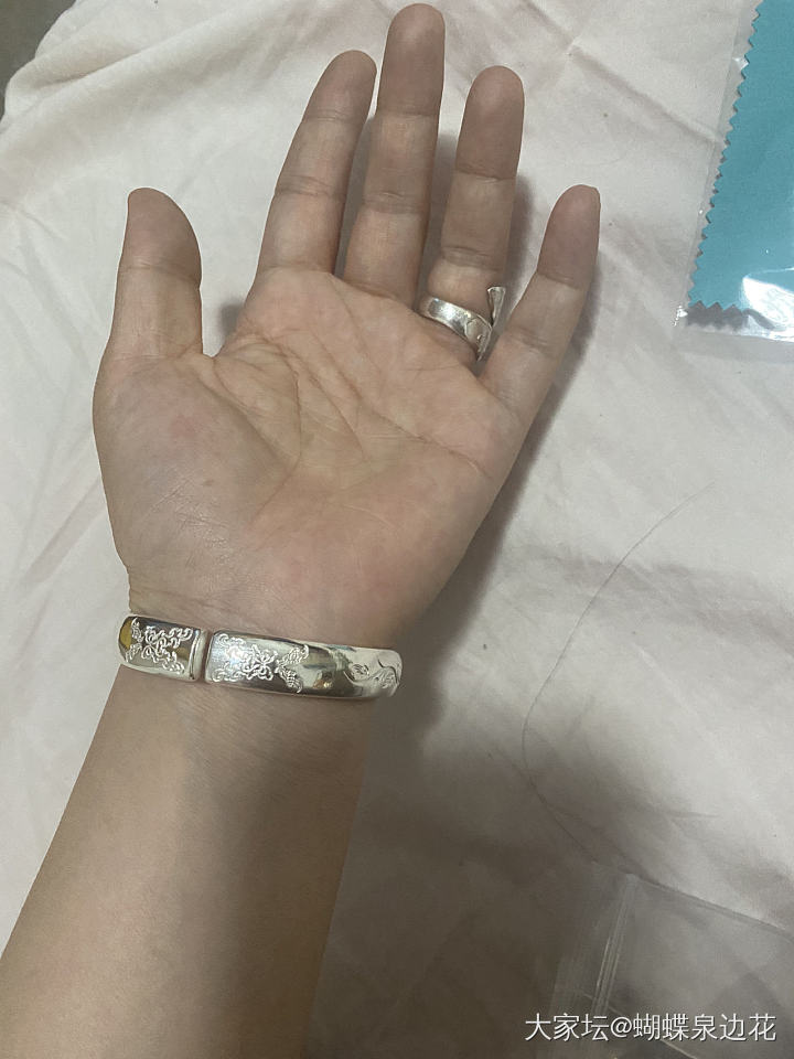 张宝源到啦！_银匠人