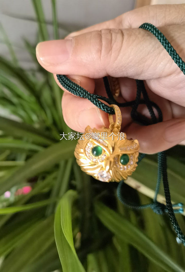 猫头鹰到货_吊坠戒指金