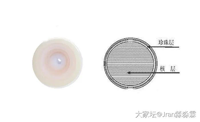 买了串珍珠，这样正常吗？大家看看_珍珠