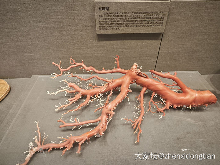 中国海关博物馆_博物馆