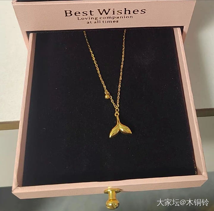 大家的黄金都藏在何处？_站务金