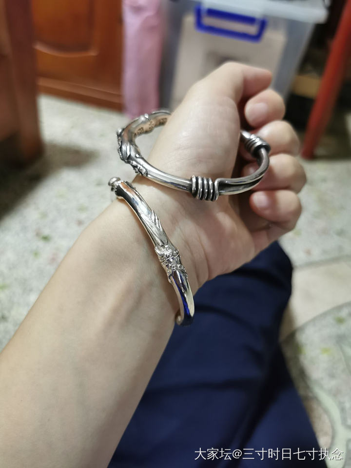 七星小瓢虫_银
