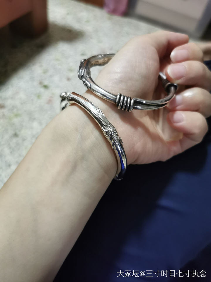 七星小瓢虫_银