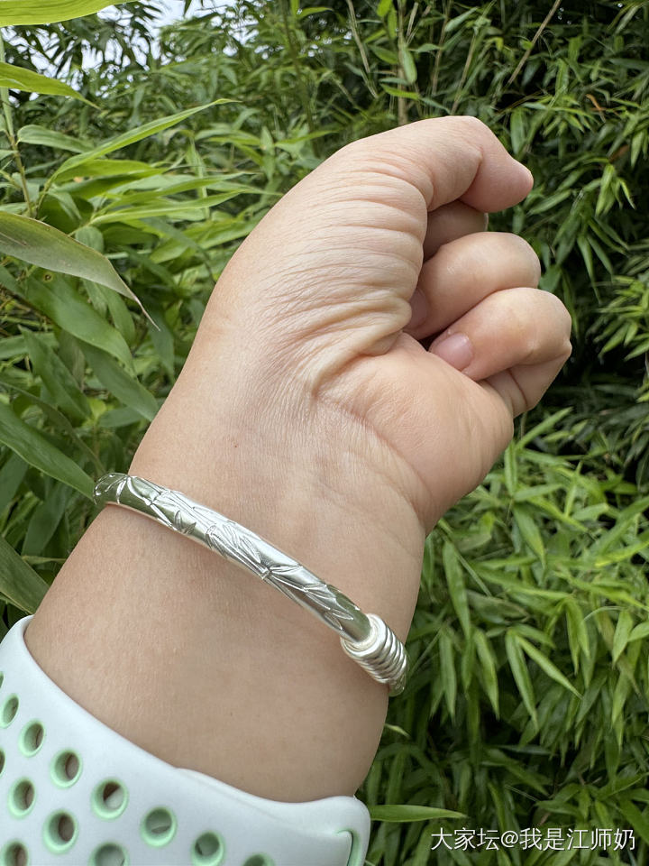 今天戴竹子_银