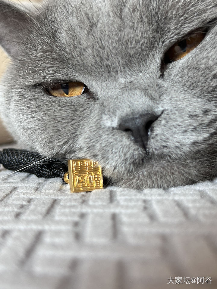 金印章到啦～_金