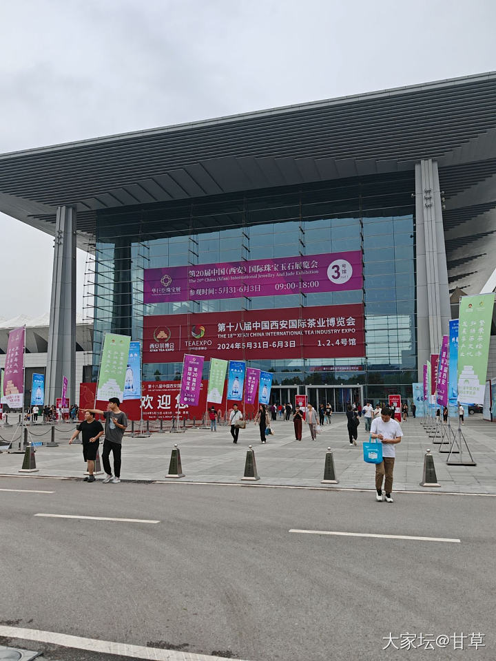 展会买了只独龙玉_玉石