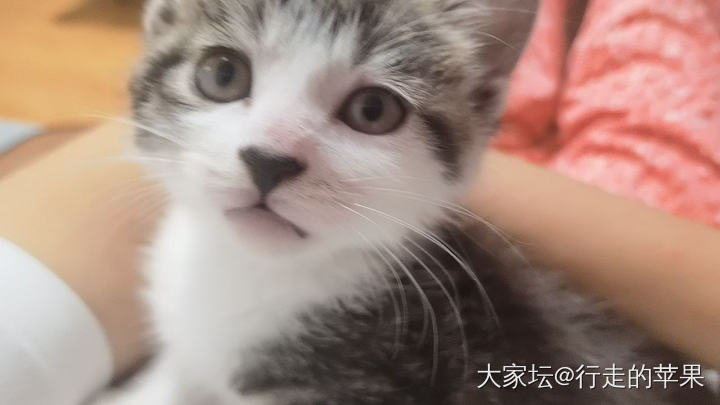 暴击永远不会遇到我_金