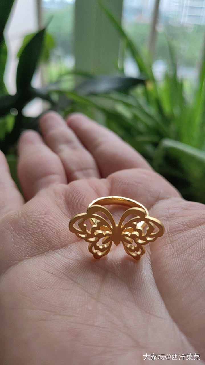 校长家福利金_福利社金
