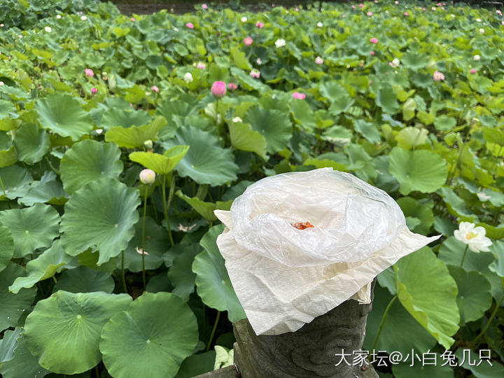 突然的自我_和田玉