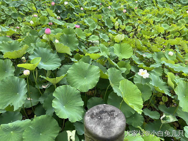 突然的自我_和田玉