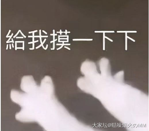 带上石头和队友粗去玩啦，完成了美好假期💗。_彩色宝石松石翡翠