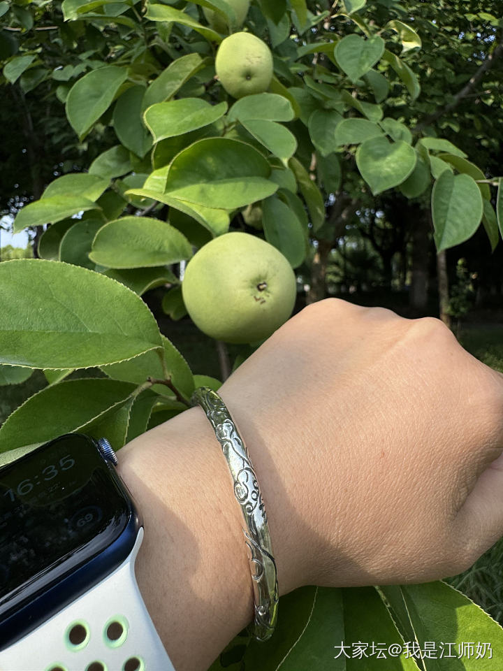 今天戴葫芦和樱花_银