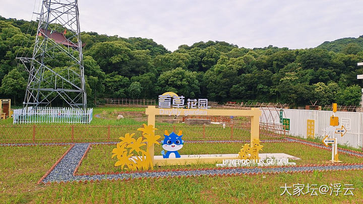 绣球花&萱草花_旅游