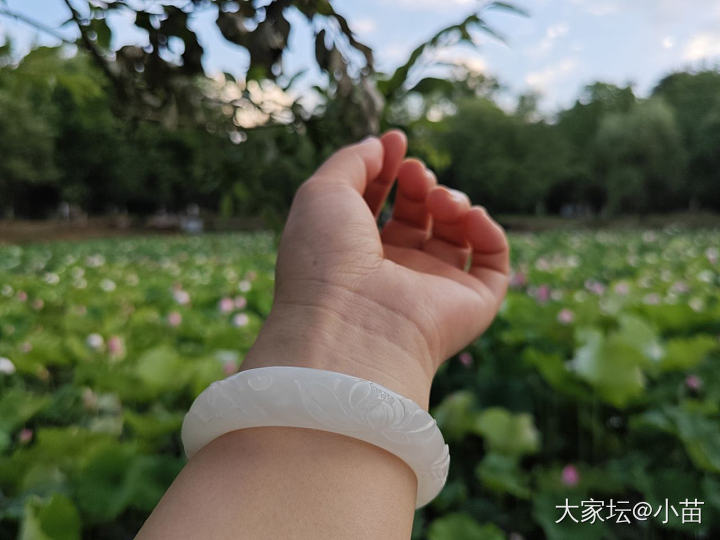 坛友们晒晒你的左手吧_翡翠