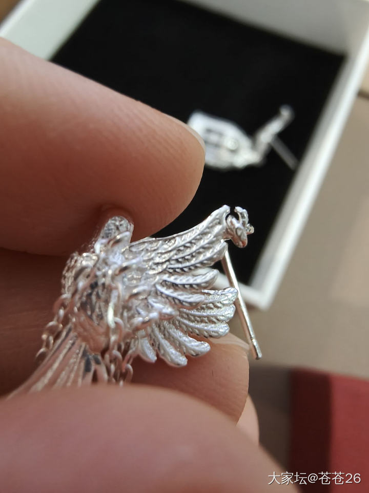 自由鸟的银版耳钉到了，但是得换货_银