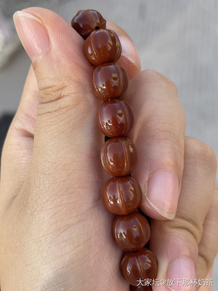 大家早上好呀_珊瑚金