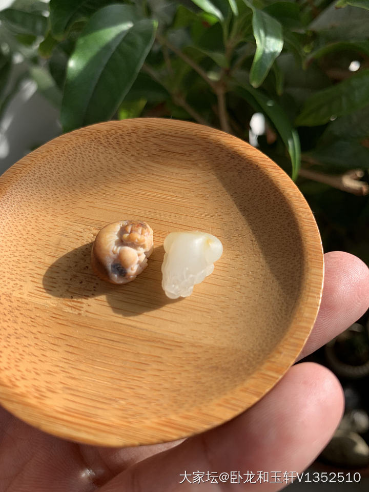 今天是和田玉貔貅٩(˃̶͈̀௰˂̶͈́)و_和田玉