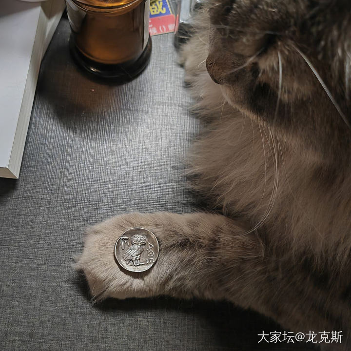 兔年收获的奖品到啦(＾▽＾)ﾉ🧨_福利社钻石银
