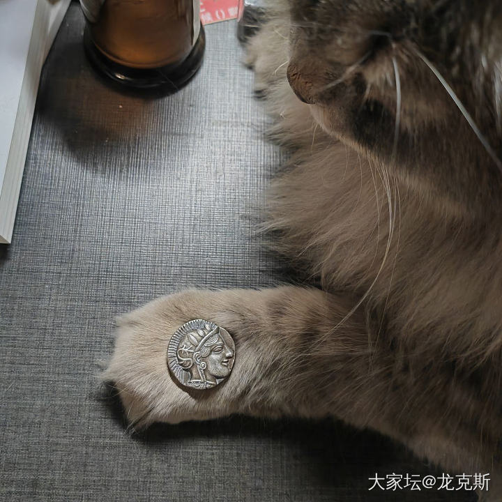 兔年收获的奖品到啦(＾▽＾)ﾉ🧨_福利社钻石银