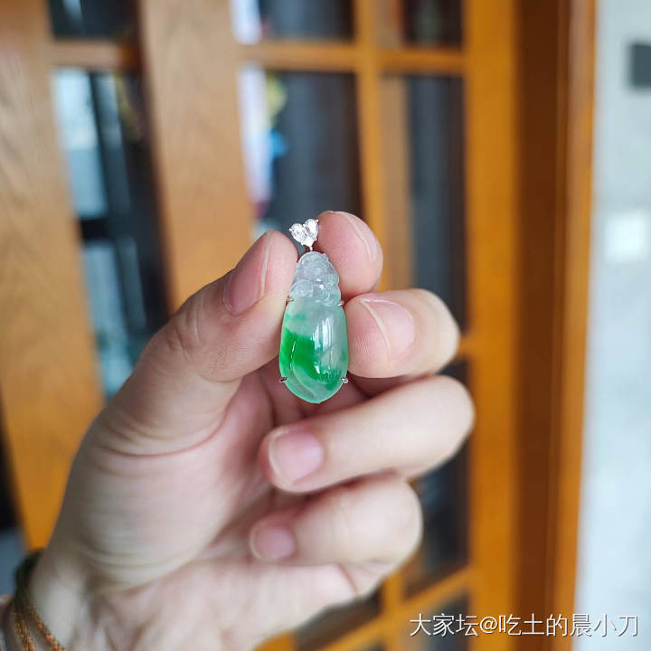 新入手的猴桃_翡翠