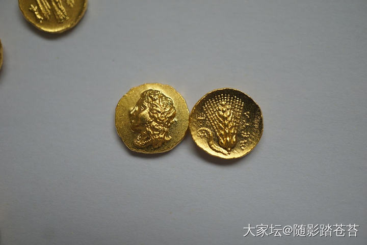 感恩校长~  免工费的金币到了~_福利社金