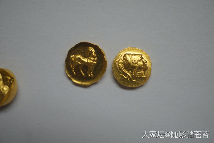 感恩校长~  免工费的金币到了~_福利社金
