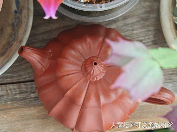 主打一个坑坑上当，坑坑进，坑坑不落下最近买了几个紫沙壶_陶瓷