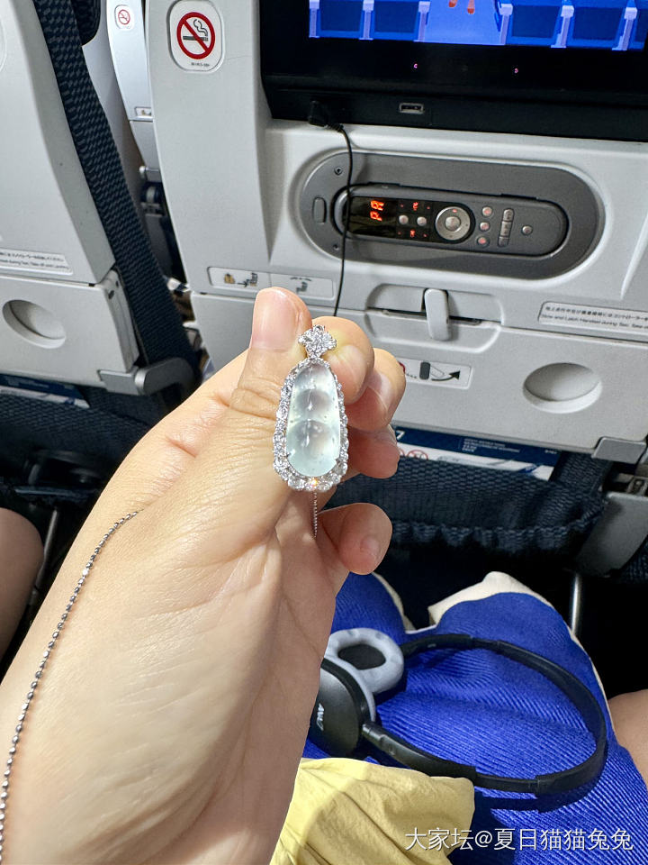 戴着我的小豆子开启假期_翡翠