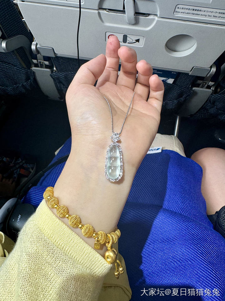戴着我的小豆子开启假期_翡翠
