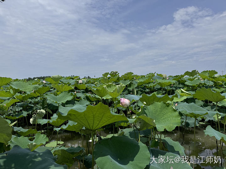 相识十九周年纪念_铂银