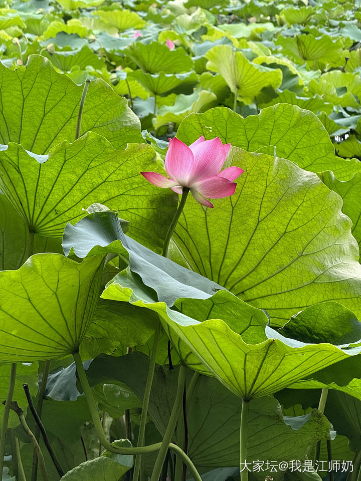 相识十九周年纪念_铂银